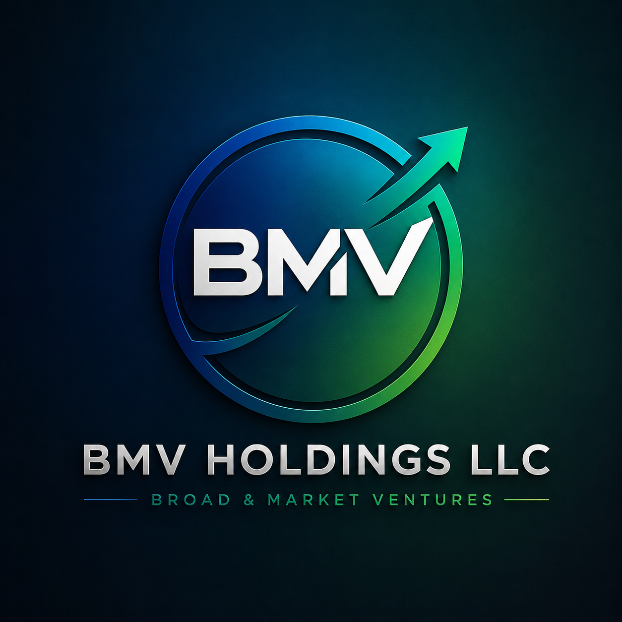 BMV Holdings LLC